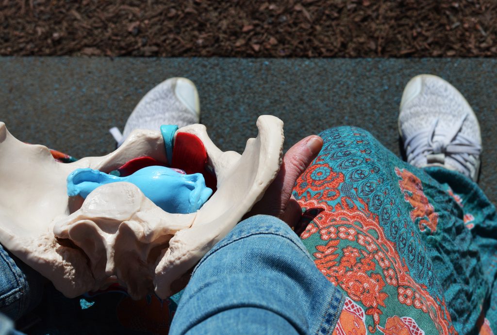 why your pelvic exercise don't work and what to do instead